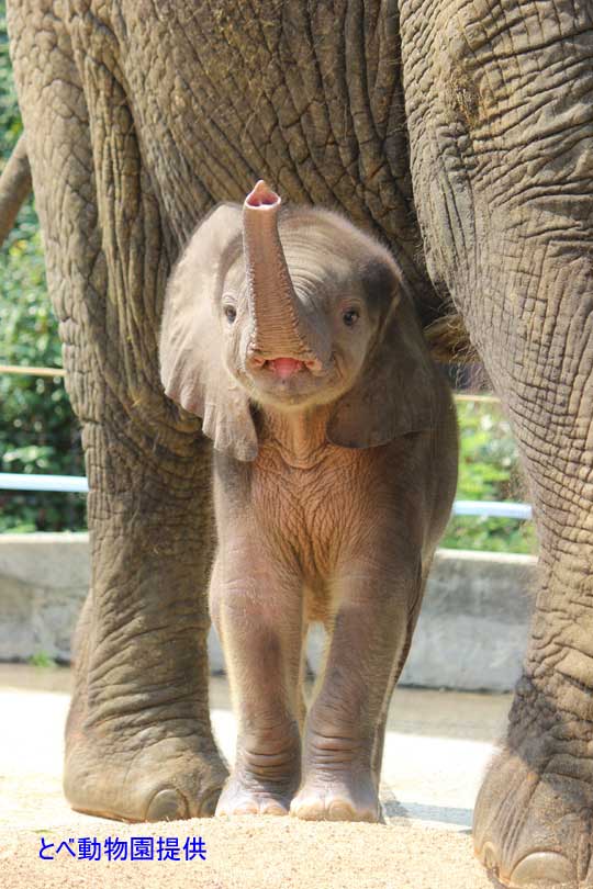 �u�������