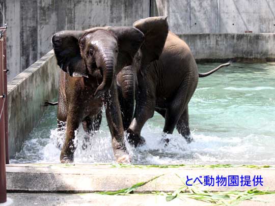 �Q�����Ɠu������